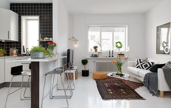 Small living room and kitchen design combo ideas